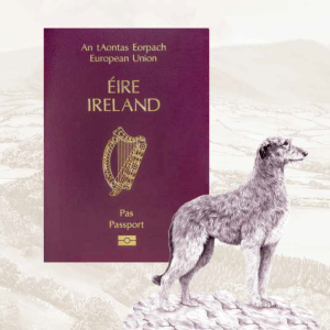 irish new passport