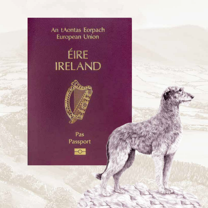 irish new passport